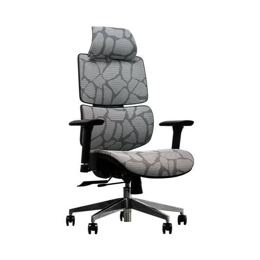 EVIS ErgoX Ergonomic Office Chair